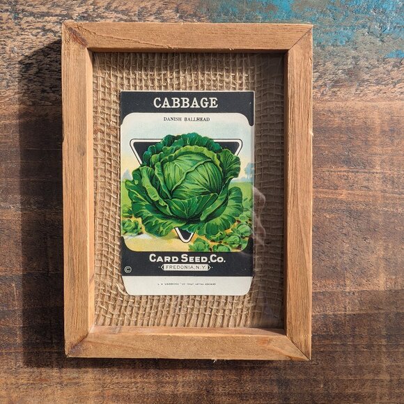 Framed Vintage 1920s Card Seed Co. Packets Set of 3 Burlap Mat Heirloom Cabbages - Picture 2 of 7
